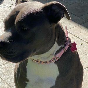 Meet your Posher, Krisdeon